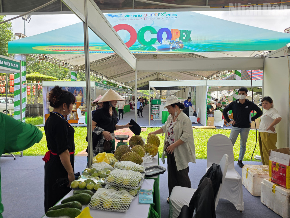 ndo_tr_20250801-105752.jpg