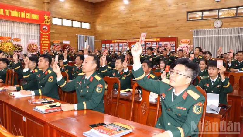 ndo_br_3-resize-7596.jpg