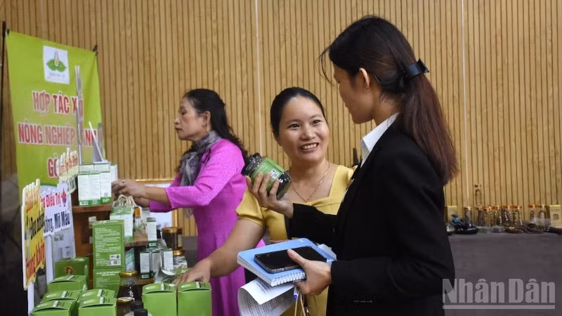 Khu vực trưng bày, giới thiệu các sản phẩm nông nghiệp sạch đạt chuẩn OCOP 4, 5 sao của Đà Nẵng. (Ảnh: ANH ĐÀO)