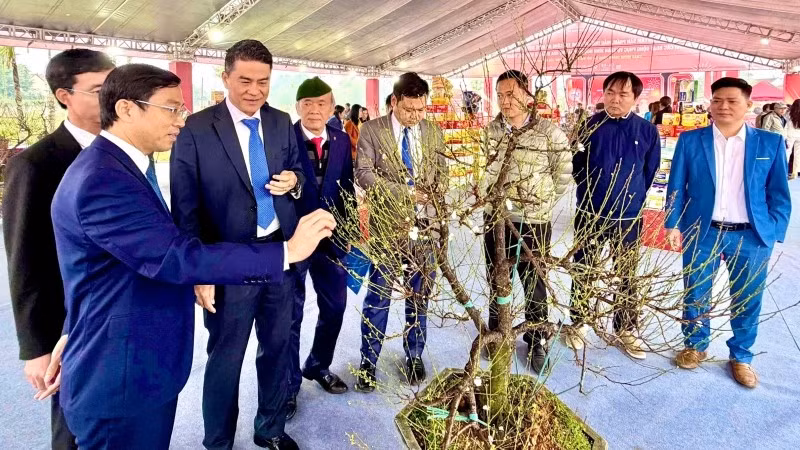 Sản phẩm hoa mai trắng (nhất chi mai) của làng nghề An Hòa, xã Suối Hai được giới thiệu, quảng bá tại triển lãm.