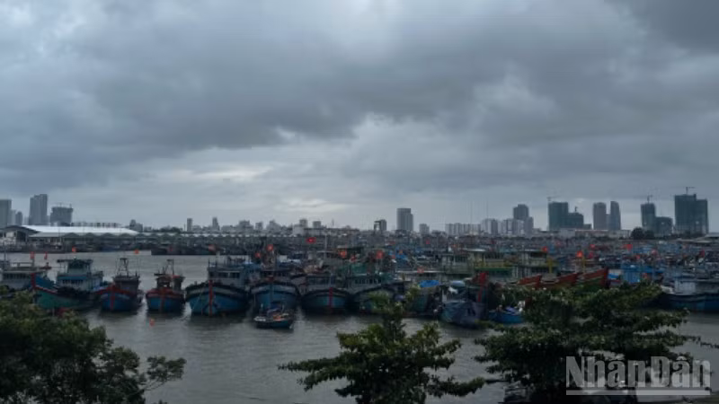 Tàu cá ngư dân miền Trung về tránh trú bão số 12. (Ảnh: ANH ĐÀO)