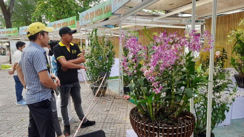Khách tham quan Festival hoa lan Thành phố Hồ Chí Minh.
