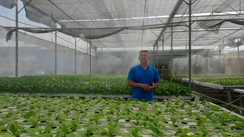 Hợp tác xã Nông nghiệp Tuấn Ngọc tiên phong ứng dụng công nghệ thông tin trong trồng rau thủy canh.