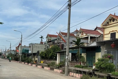 Đường giao thông nông thôn tại xã Hồng Vân, huyện Thường Tín, thành phố Hà Nội.