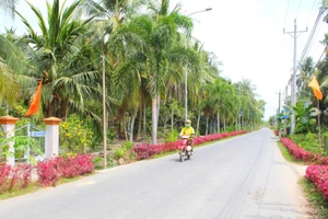 Tuyến đường giao thông của xã Trung Hiệp được trồng hoa, cây cảnh cảnh tạo cảnh quan sáng- xanh- sạch- đẹp cho vùng quê nông thôn. (Ảnh: TUYẾT NGA)