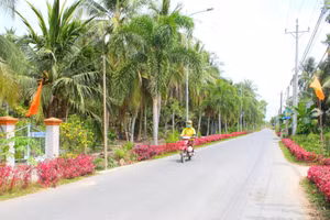 Tuyến đường giao thông của xã Trung Hiệp được trồng hoa, cây cảnh cảnh tạo cảnh quan sáng- xanh- sạch- đẹp cho vùng quê nông thôn. (Ảnh: TUYẾT NGA)