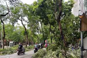 (Ảnh minh họa: THÙY LINH)