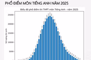 Phổ điểm Tiếng Anh thi tốt nghiệp THPT năm 2025 đẹp, cân đối
