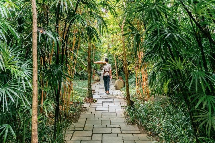Ubud, Indonesia. Ảnh: Booking.com ubud-bali.jpg