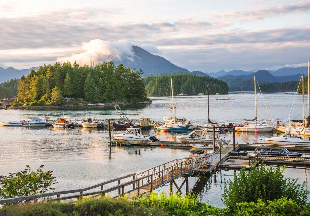 Tofino, Canada. (Ảnh: Booking.com) tofino-canada-1.jpg
