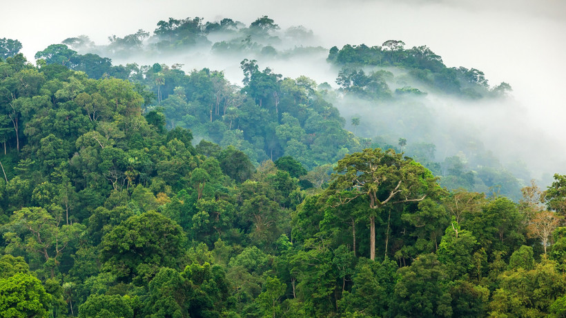 Ba giai đoạn của Chương trình mục tiêu quốc gia ứng phó với biến đổi khí hậu