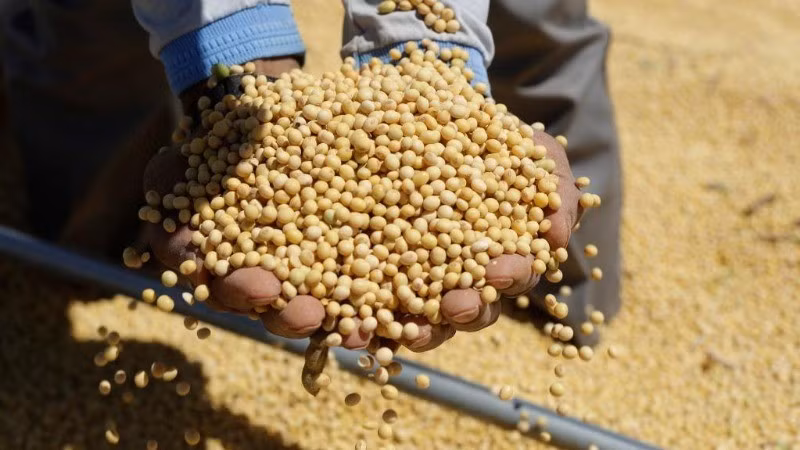 Ảnh minh họa. (Nguồn: Tân Hoa xã)