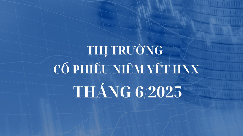 Thị trường cổ phiếu niêm yết HNX tháng 6/2025: Thanh khoản tăng 20%