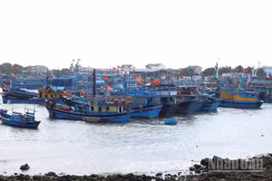 Tỉnh Khánh Hòa đang quản lý hơn 5.120 tàu cá, tuy nhiên số lượng tàu cá nhỏ, hành nghề khai thác hải sản gần bờ còn khá nhiều. (Ảnh: NGUYỄN TRUNG)