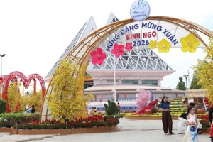 Dòng người đổ về Quảng trường 16/4 và Nhà Bảo tàng, thuộc phường Phan Rang và phường Đông Hải, tỉnh Khánh Hòa để du xuân sớm mỗi lúc một đông. (Ảnh: NGUYỄN TRUNG)