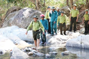 Lực lượng Hạt Kiểm lâm rừng đặc dụng Phước Bình, ở xã Bác Ái Tây (Khánh Hòa) xuất quân tuần tra, bảo vệ rừng trong những ngày Tết Bính Ngọ 2026. (Ảnh: NGUYỄN TRUNG)