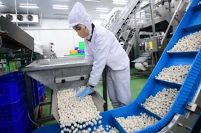 Người lao động tại Công ty LC Foods. (Ảnh nhandan.vn)