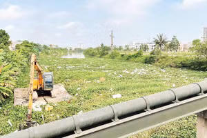 Công ty TNHH một thành viên Sông Chu triển khai nạo vét kênh tiêu Hòa Giang.