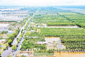 Một góc vùng quê nông thôn thuộc ấp Vồ Dơi, xã Đá Bạc, tỉnh Cà Mau.