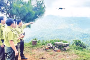 Các đơn vị chủ rừng và hạt kiểm lâm ứng dụng flycam để quan sát, quản lý và bảo vệ rừng tại Lâm Đồng.