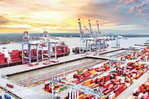 Cụm cảng Cái Mép-Thị Vải, phường Tân Phước,Thành phố Hồ Chí Minh. (Ảnh THẾ ANH)