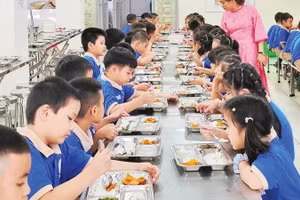 Học sinh một trường tiểu học tại Thành phố Hồ Chí Minh trong giờ ăn.