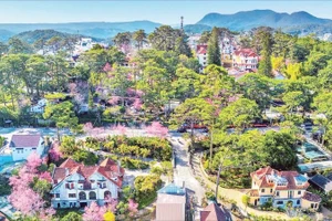 Đà Lạt-rừng trong phố, phố trong rừng.