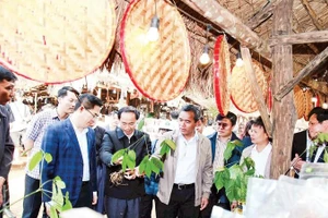 Nông sản, dược liệu các xã miền núi tỉnh Quảng Ngãi trưng bày tại chương trình Tuần lễ văn hóa-du lịch Măng Đen 2026.