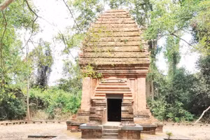 Tháp Yang Prong (Thần lớn) hay còn được người dân địa phương gọi là tháp Chàm Rừng xanh nằm ở thôn 5, xã Ea Rốk, tỉnh Đắk Lắk.