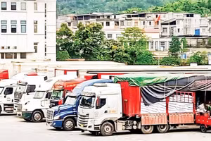 Bốc xếp hàng hóa tại cửa khẩu Bắc Phong Sinh, Quảng Ninh.