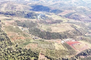 Khu vực trảng lớn Lách Me, xã Trường Xuân đang được rà soát, đề xuất cấp giấy chứng nhận quyền sử dụng đất cho nhiều hộ dân bon Bu N'Đóh.