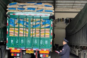 Công chức hải quan làm thủ tục cho hàng hóa nhập khẩu.