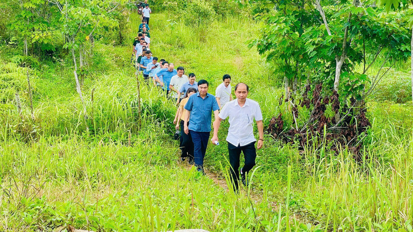 Đồng chí Lê Quang Trinh (người đi đầu), Chủ tịch Ủy ban nhân dân xã Si Pa Phìn cùng các đồng chí lãnh đạo tỉnh Điện Biên kiểm tra tiến độ thực hiện các dự án hỗ trợ sản xuất trên địa bàn xã Si Pa Phìn