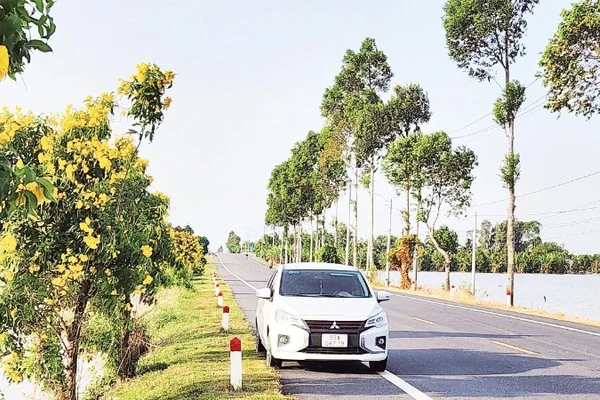 Nhiều tuyến đường đẹp trên địa bàn thành phố Cần Thơ được xây dựng góp phần nâng cao đời sống vật chất, tinh thần cho người dân địa phương.