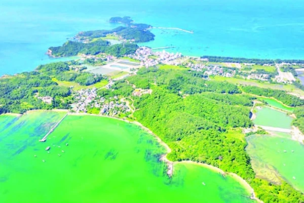 Khu Bảo tồn biển Cô Tô-Đảo Trần có tổng diện tích 18.414,92 ha. (Ảnh NGÔ TRẦN HẢI AN)