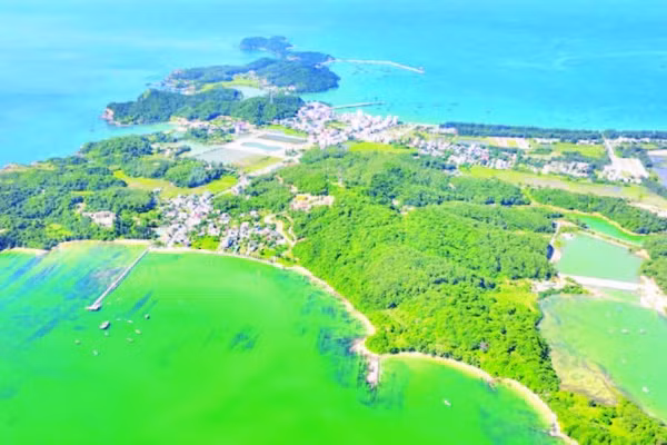 Khu Bảo tồn biển Cô Tô-Đảo Trần có tổng diện tích 18.414,92 ha. (Ảnh NGÔ TRẦN HẢI AN)