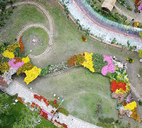 Tổ chức Kỷ lục Việt Nam-VietKings công nhận và xác lập Kỷ lục Việt Nam đối với “Bản đồ Việt Nam tạo hình từ các giống hoa-kiểng có số lượng nhiều nhất tại Việt Nam" (tại Festival Hoa-Kiểng Sa Đéc lần thứ 2 năm 2025).