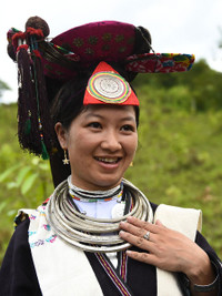 Dao