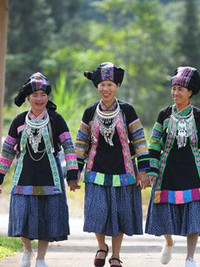 Bố Y