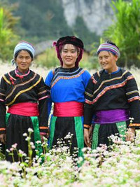 Cờ Lao
