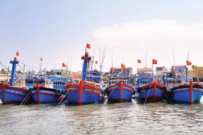 Các tỉnh, thành phố có biển tăng cường kiểm tra, kiểm soát các tàu cá ra vào cảng để chống đánh bắt IUU.