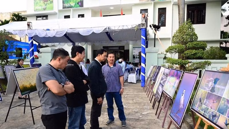 trien-lam.jpg