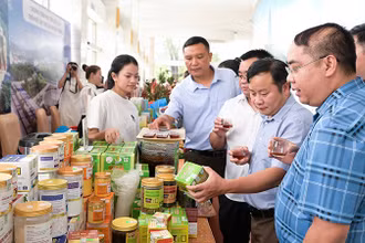 Các đại biểu tham quan gian hàng nông sản địa phương.