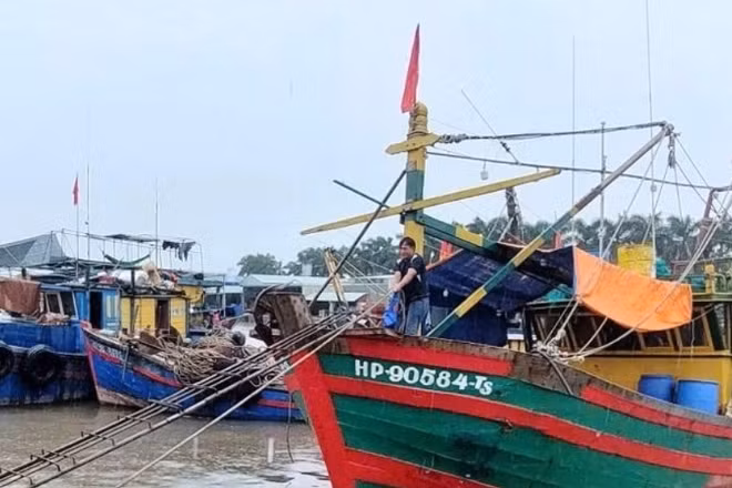 Thành phố Hải Phòng yêu cầu bảo đảm 100% tàu cá đã đăng ký phải viết biển số, đánh dấu tàu cá theo quy định.
