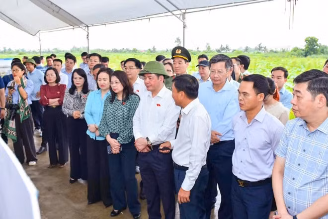 Phó Chủ tịch Quốc hội Nguyễn Hồng Diên và Đoàn công tác khảo sát thực địa dự án đầu tư xây dựng tuyến đường sắt Lào Cai-Hà Nội-Hải Phòng. (Ảnh: ĐÀM THANH)