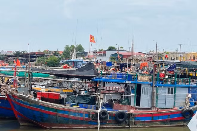 Ảnh minh họa: Tàu cá ở phường Đồ Sơn (Hải Phòng) neo đậu tại cảng.