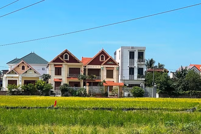 Tổ dân phố Cữ, phường An Phong (Hải Phòng).
