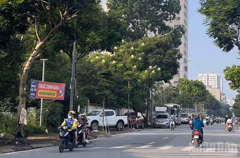 Dự báo khu vực Hà Nội ngày nắng nóng. (Ảnh minh họa: Đ.T)