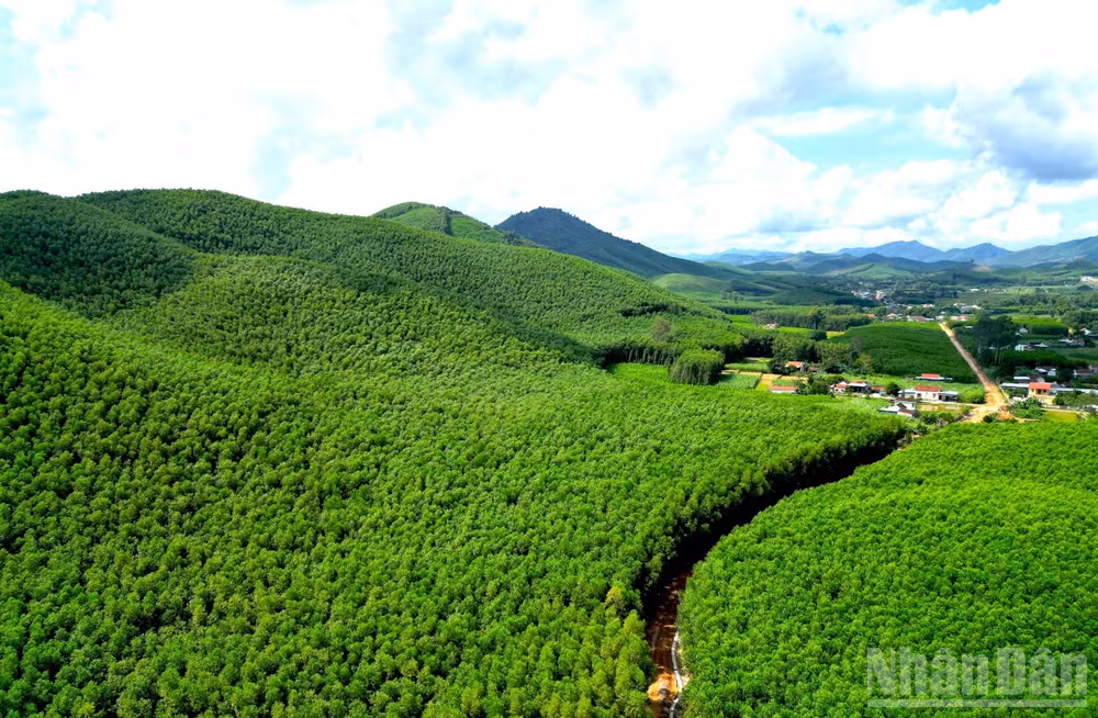 ndo_br_anh-26.jpg