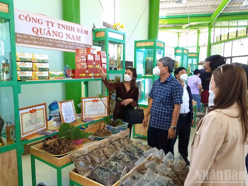 Lãnh đạo thành phố Đà Nẵng khảo sát, tìm hiểu tại Lễ hội Sâm Ngọc Linh lần thứ VI năm 2024. (ảnh: ĐÌNH TĂNG)